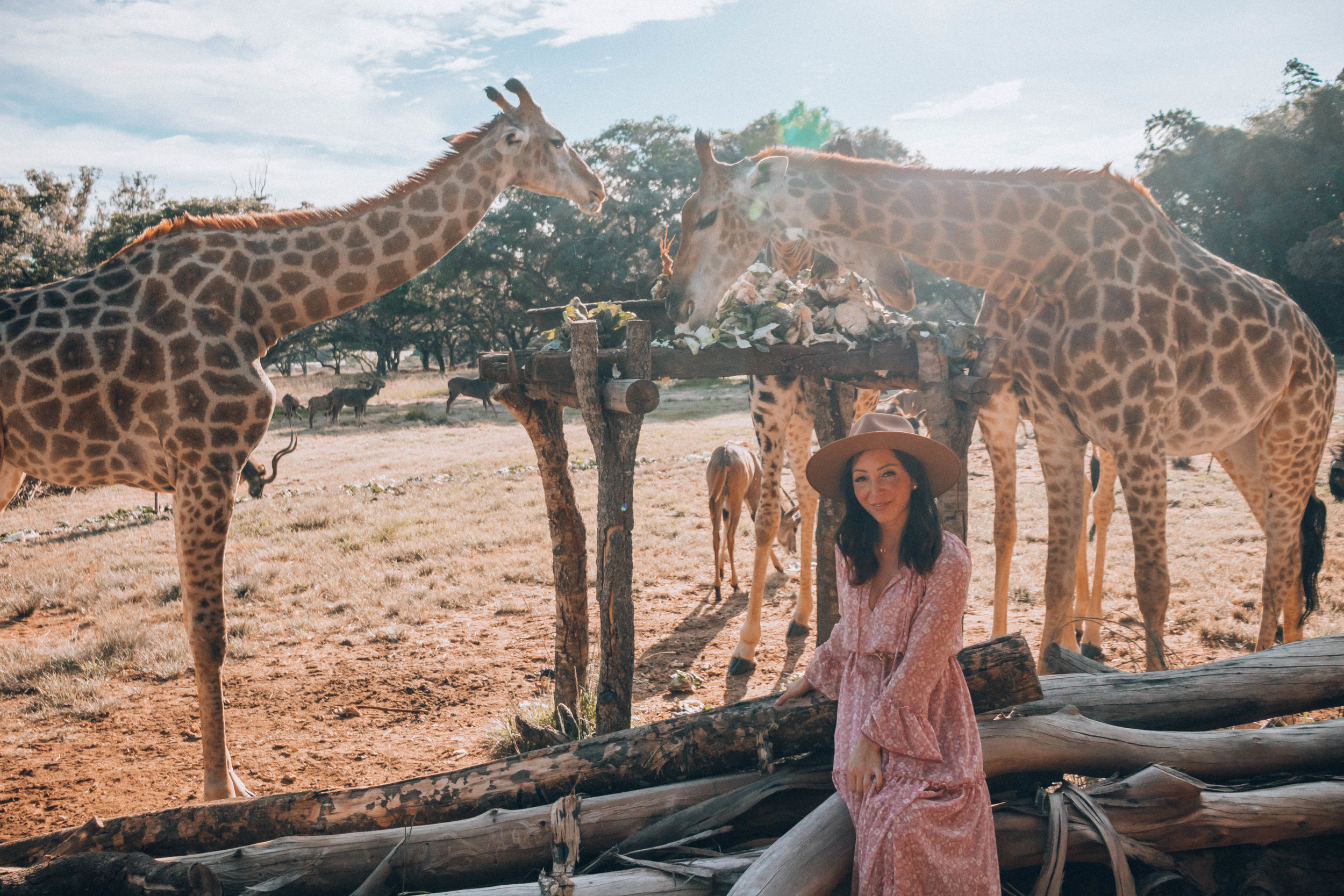 ZIMBABWE TRAVELS